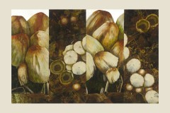 LIGHT_MUSHROOM-CAPS