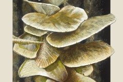 LIGHT_MUSHROOM-STACK